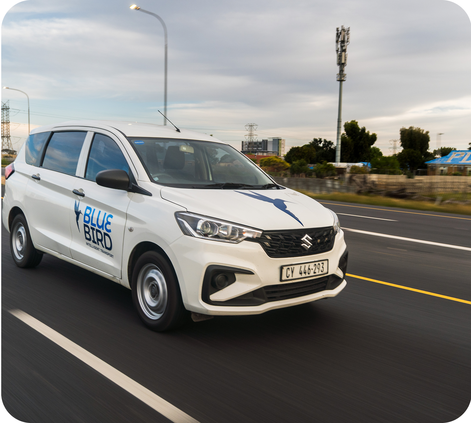 Bluebird car on road