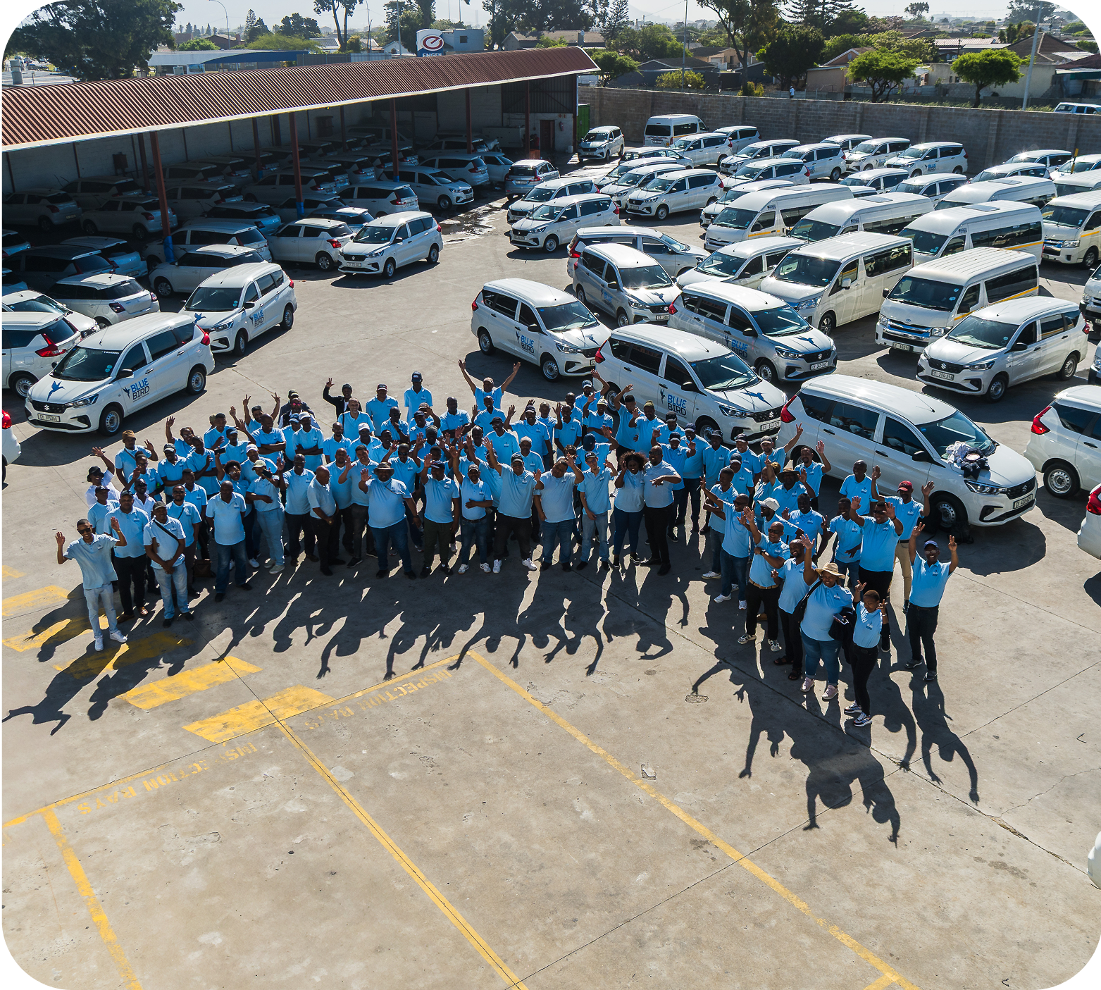 Bluebird team interaction