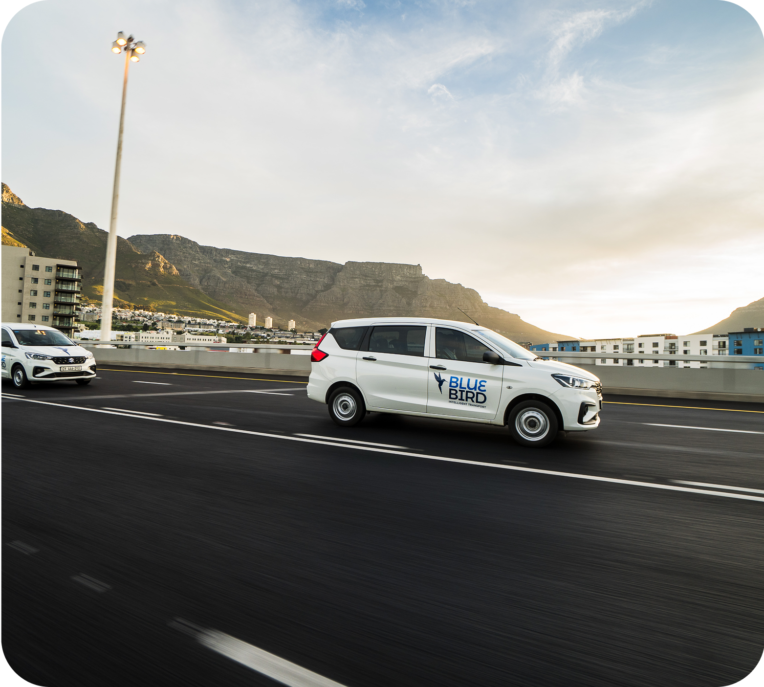 Bluebird team interaction