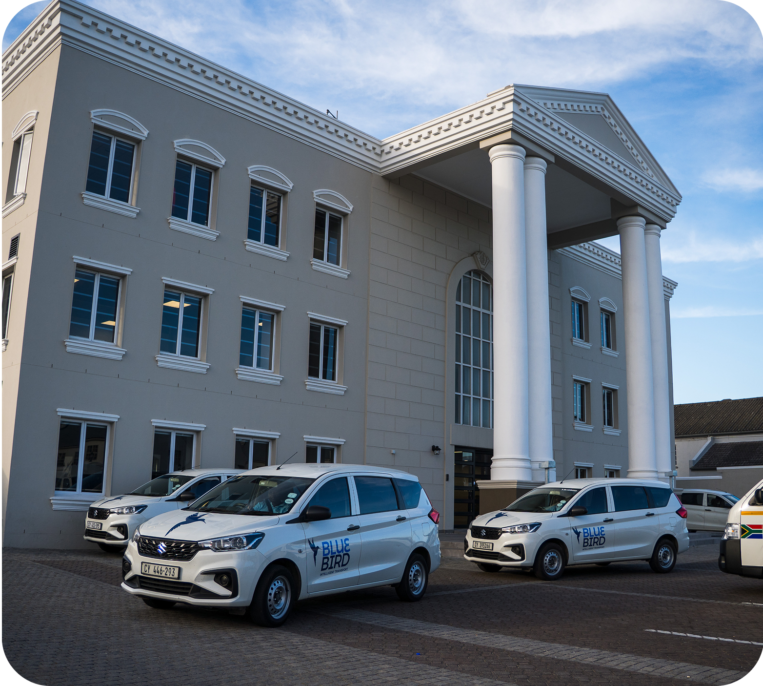 Bluebird car on road